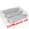 Farasis 3.7V 73Ah P73D Pouch Cell NMC Lithium Polymer Battery