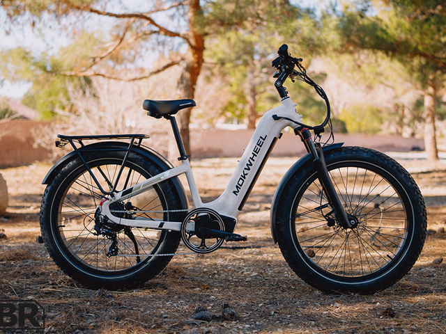 Electric-Bike