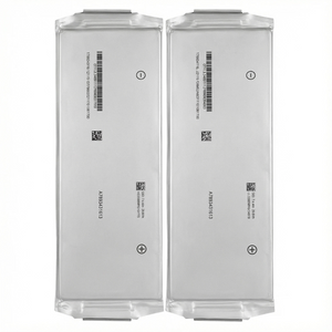 SK 5C 74.4Ah 3.7V NCM Pouch Cell Battery