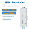 EVE E42 3.65V 45Ah NCM Rechargeable Lithium-ion Pouch Battery Cell