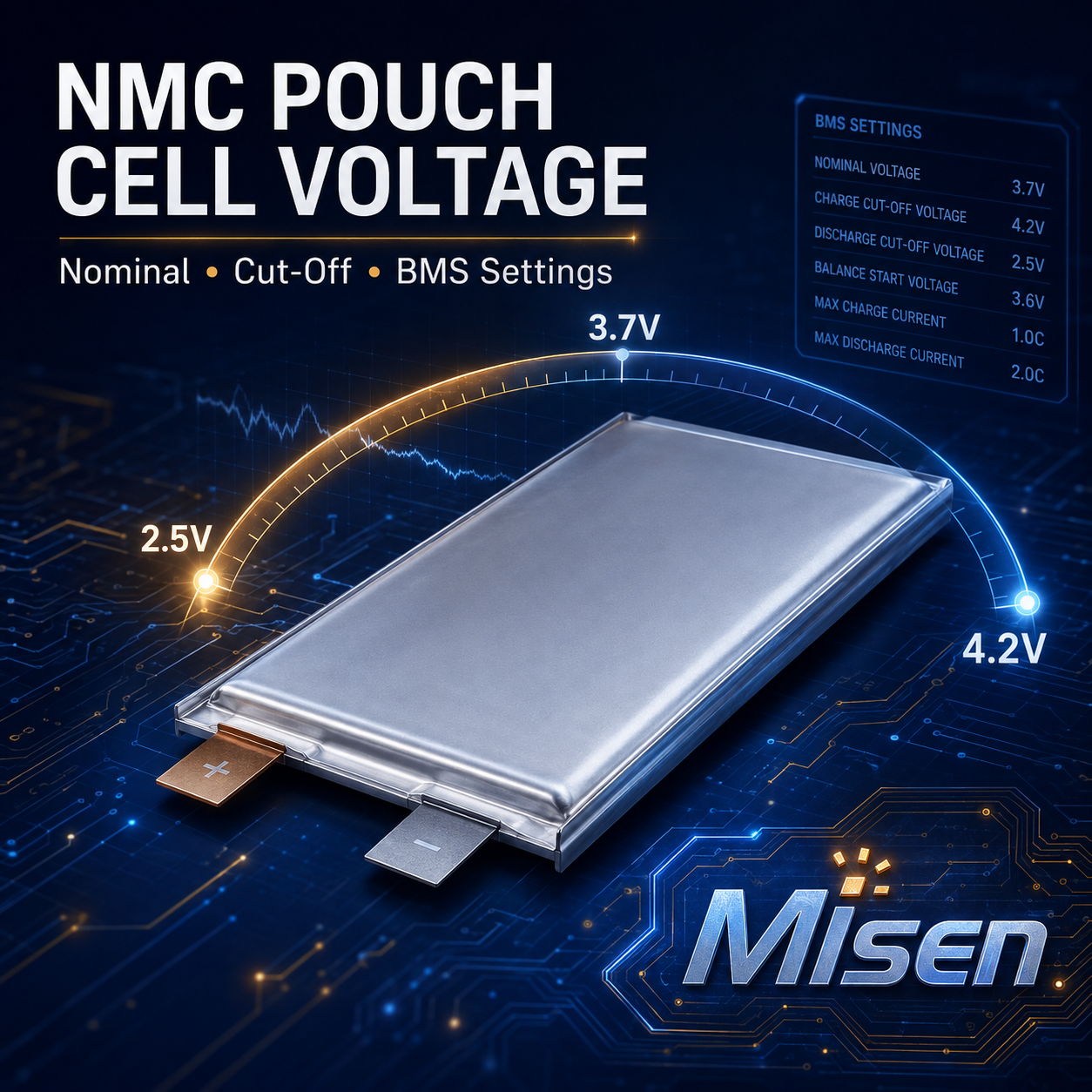 NMC pouch cell P76.png