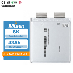 SK 3.7V 43Ah 3C Charge 6C Discharge Lithium-ion Pouch Battery Cell