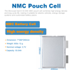 Microvast 53.5Ah 3.7V NMC Lithium-ion Pouch Battery Cell